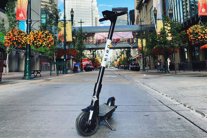 Bird Canada returned to Calgary in spring 2020. 