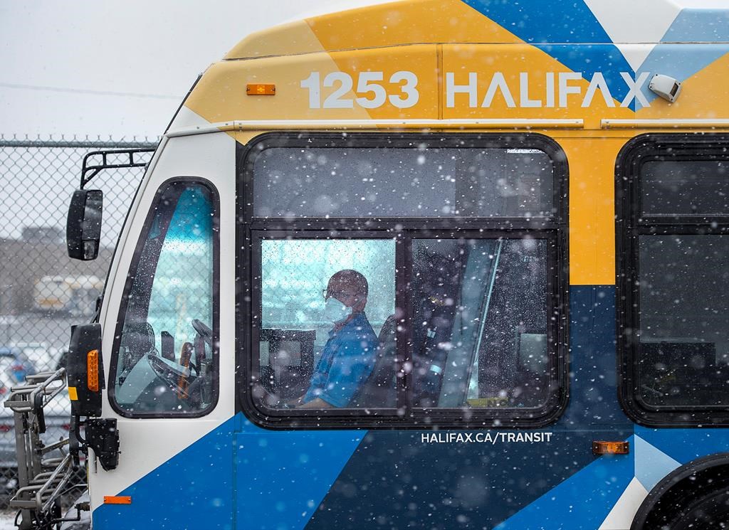 Halifax Transit services are resuming with strict COVID-19 measures, but will allow a handful of passengers to stand.