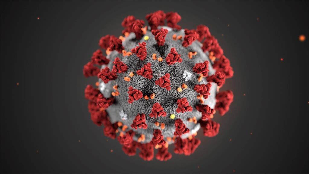 This illustration provided by the Centers for Disease Control and Prevention (CDC) in January 2020 shows the 2019 novel coronavirus (2019-nCoV).