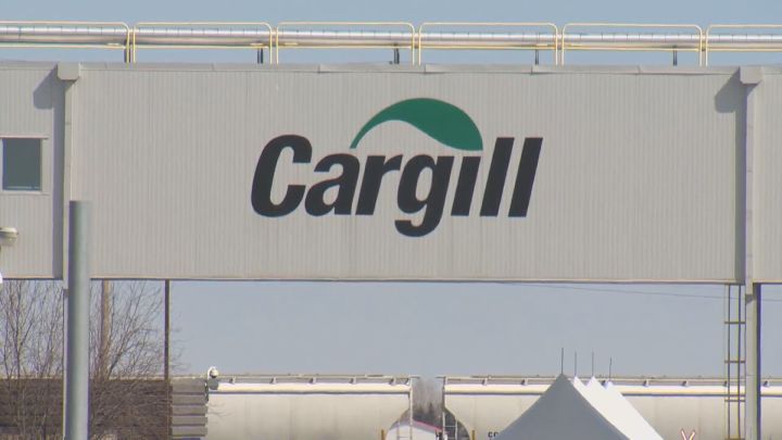 Cargill announced plans to break ground on a new canola processing facility in Regina to support the growing global demand for canola products.