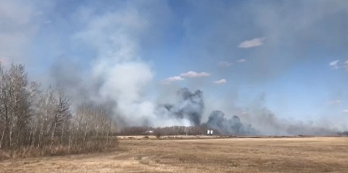 A submitted photo of a grass fire in Dalmeny.