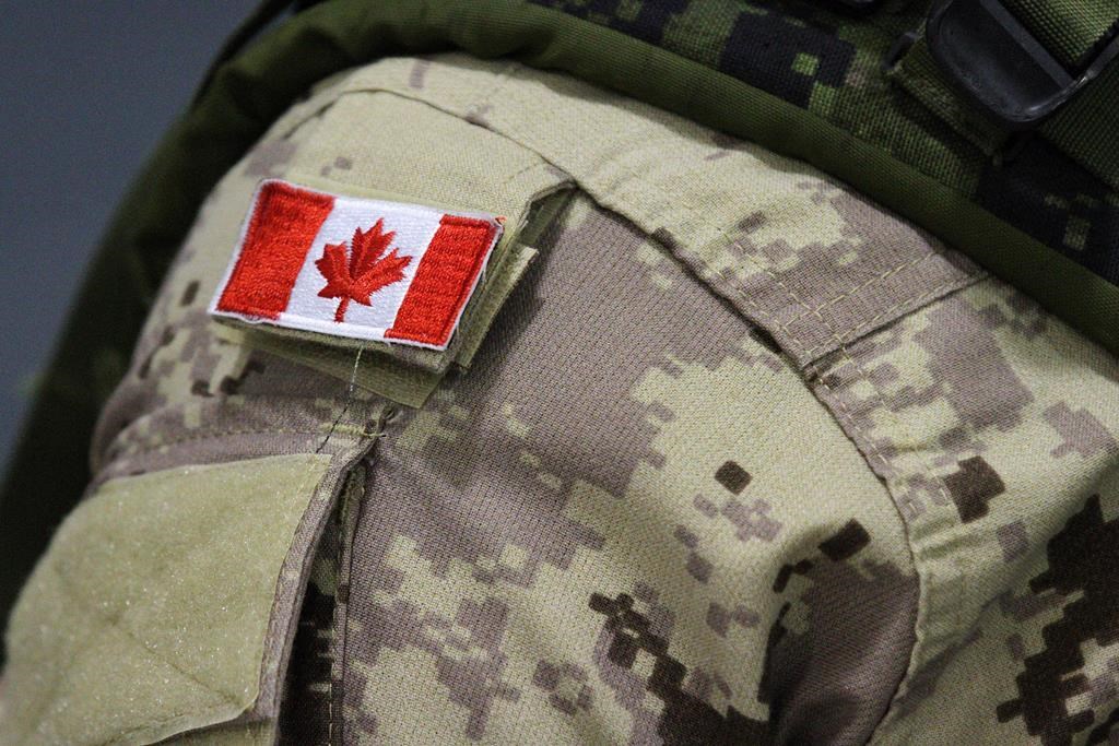 Court martial for N.B. soldier accused of serving cannabis-laced cupcakes can proceed - image