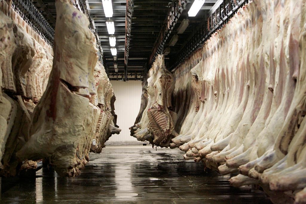 Meat packers call for changes to foreign worker cap to address labour shortage crisis - image