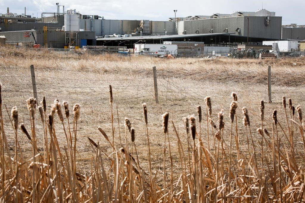 Cargill announced a temporary shut down of its beef plant near High River where officials in the area are dealing with over 400 cases of COVID-19 linked to the plant, including the death of a worker, in High River, Alta., Thursday, April 23, 2020.