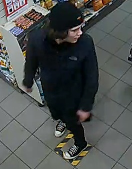 Edmonton police have released photos of a male they believe is responsible for an arson in west Edmonton in March.