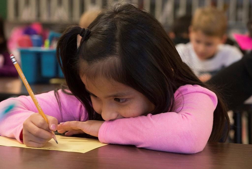 FILE - In this Nov. 26, 2018, file photo, Odalys Tebalan works on an assignment at Fairview Elementary in Carthage, Mo. 
