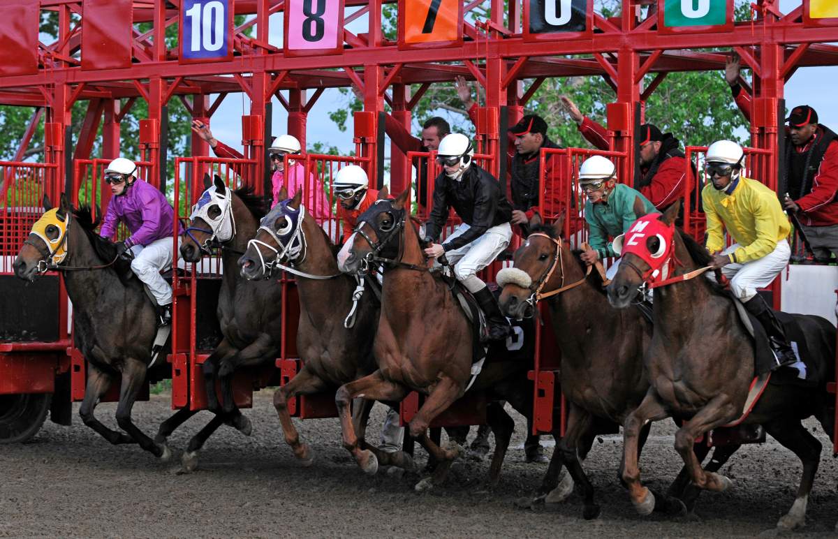Supplied Photo from Assiniboia Downs .