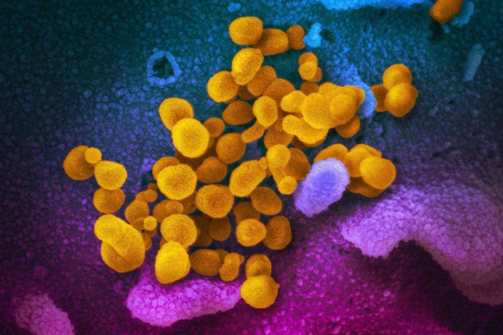 The treatment works by reprogramming a patient's white blood cells to fight hyperinflammation, a symptom that's been associated with the body's response to COVID-19.