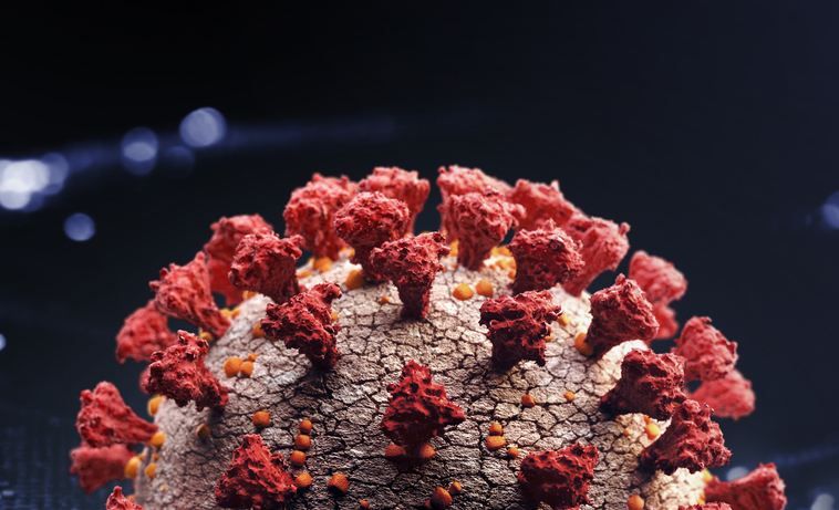 Saskatchewan had 61 active coronavirus cases as of Friday, and 570 recoveries.