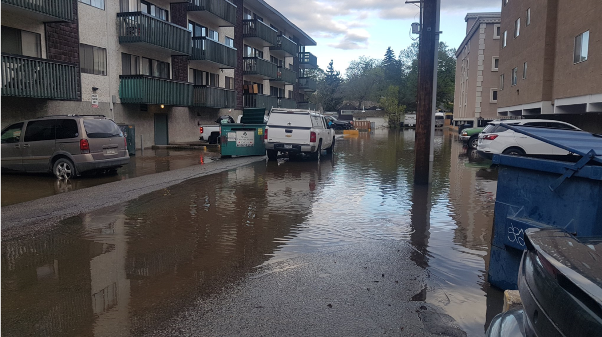 Mill Creek bursts banks, floods neighbourhood in Kelowna, B.C. - image