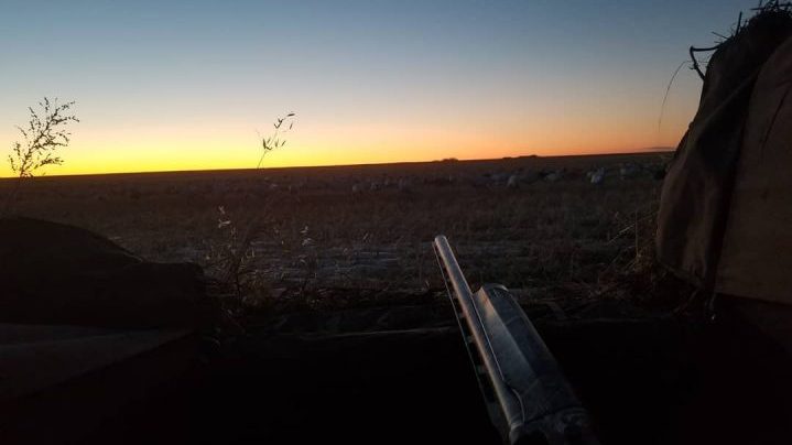 Prairies Edge Outfitting in North Battleford has already taken a loss of $40,000 for spring 2020, and could see a $1 million loss in revenue if the fall season is cancelled.
