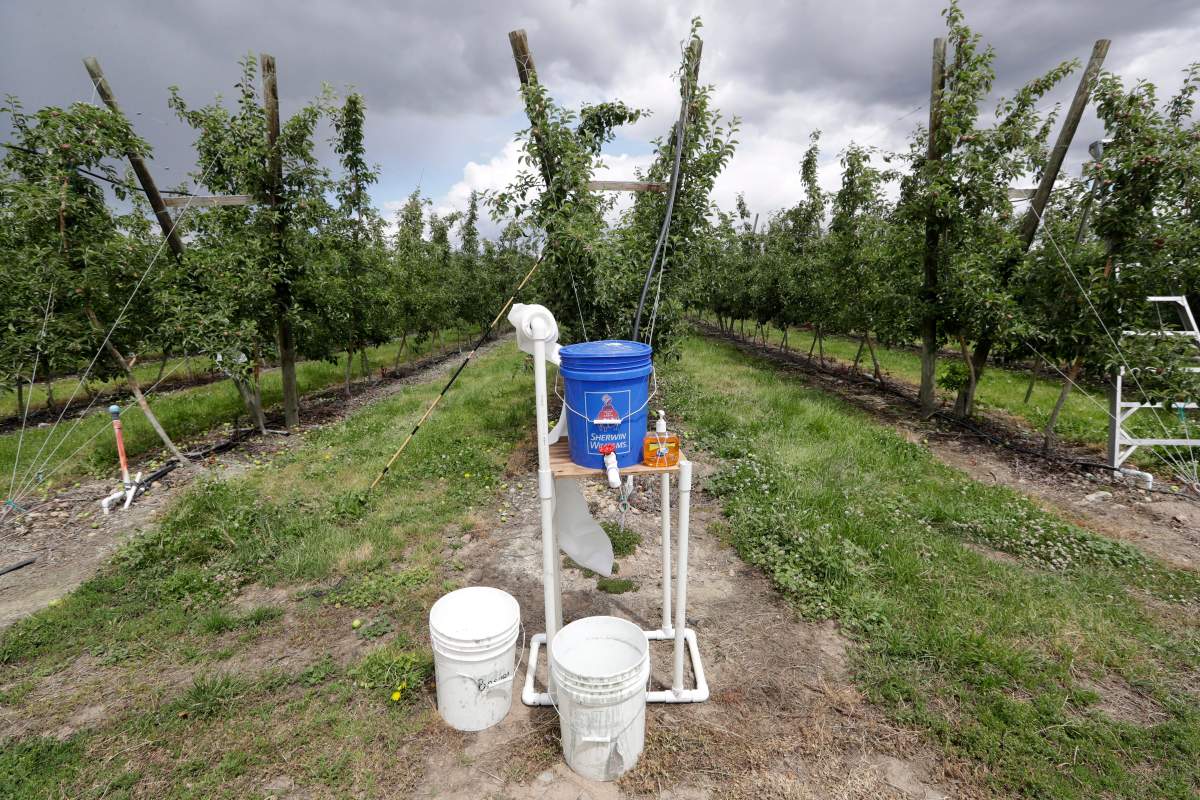 As of June 27, 2020, three migrant farm workers in Ontario have died of the novel coronavirus.
