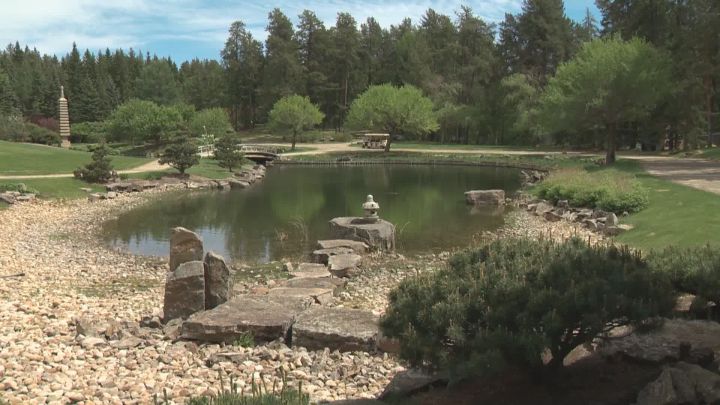 The University of Alberta Botanic Garden reopened near Devon on Monday and those who run it say they expect it to become a popular place to go during the ongoing COVID-19 pandemic.