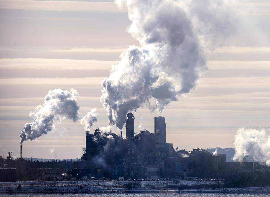 The Northern Pulp mill in Abercrombie Point, N.S., is viewed from Pictou, N.S., December 13, 2019. The parent company for the idled Northern Pulp mill says it has filed an appeal with the Nova Scotia Supreme Court related to a ministerial order issued last month for the management of the site. In a news release issued Monday, Paper Excellence Canada says the order imposes terms and conditions that are "impractical" and show a "lack of understanding of the pulp and paper industry and effluent treatment facilities." THE CANADIAN PRESS/Andrew Vaughan.