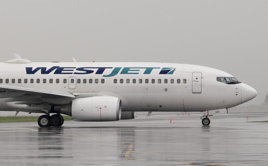 A WestJet airlines plane at the Ottawa airport Wednesday June 26, 2019. 