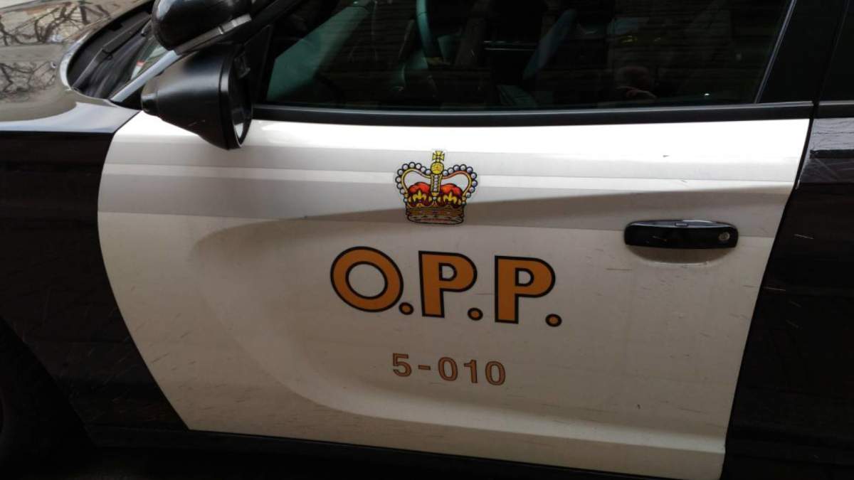 OPP have charged a man after a complainant reported smashed windows at their business in Norwood, Ont.