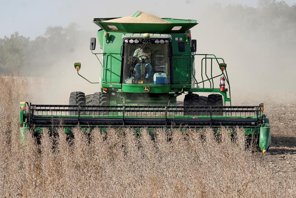As Saskatchewan approached the midway point of August, most of the province has not yet started harvesting, as only one per cent of producers in the province have started harvesting. 