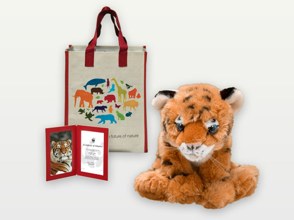 Father’s Day gifts: 20 gift ideas $50 and under - image