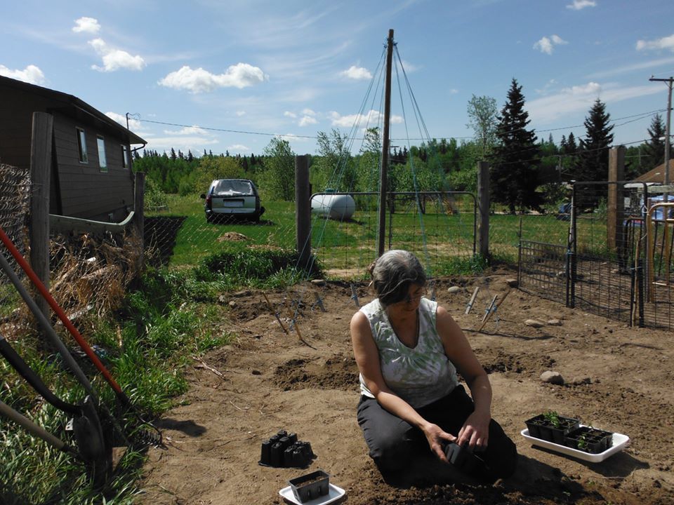 Candyce Paul transplants herbs into her garden. 