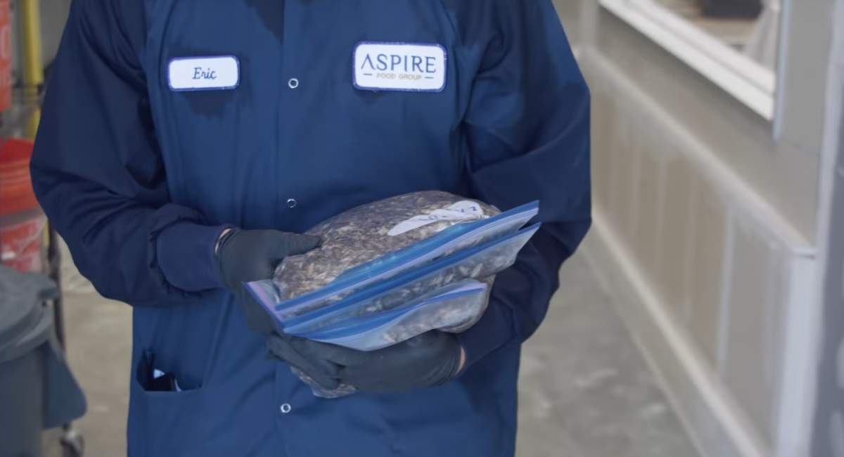Aspire Food Group