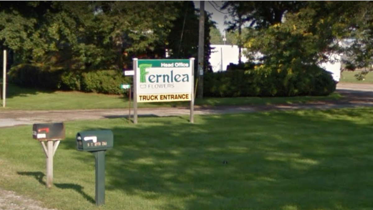 Haldimand-Norfolk health unit are reporting a number of recent COVID-19 cases connected to a large greenhouse in Delhi, Ontario.