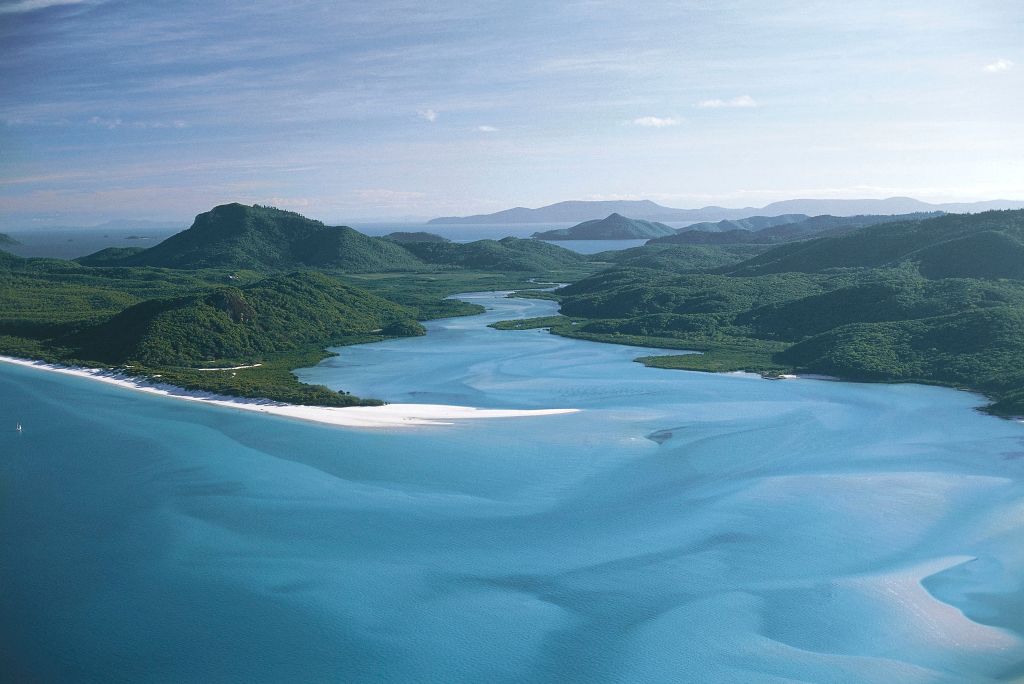A woman was reportedly bitten by a shark while snorkelling off of Fitzroy Island near North Queensland.