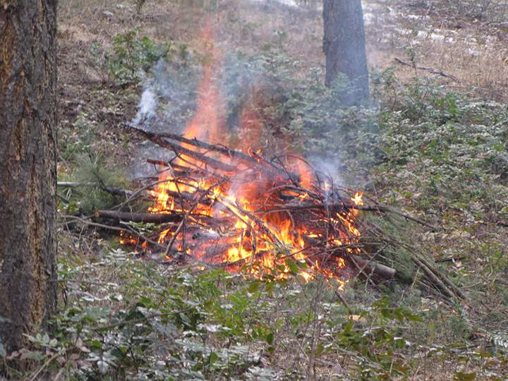 After responding to multiple grass fires last week, the BX-Swan Lake fire department is reminding citizens about safe, open burning.