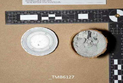 Bomb-making materials found in home of Kingston ISIS supporter.