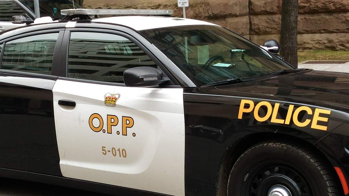 OPP cruiser in file photo.