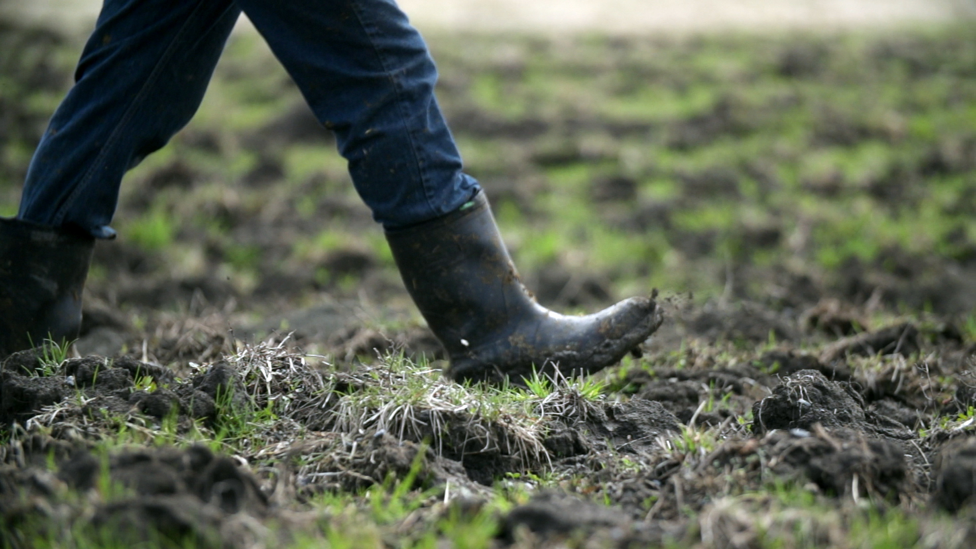 Stock farmer footage.