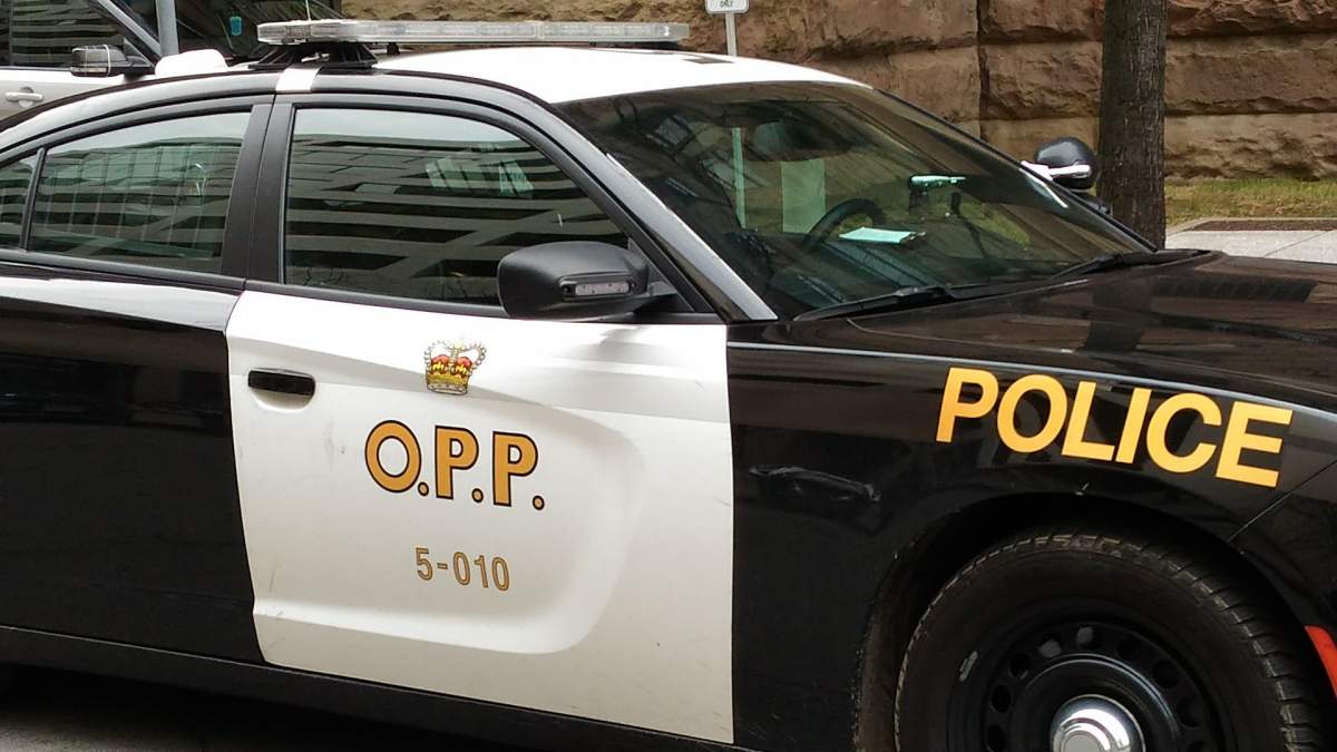 In a release, police say officers were dispatched to the Caledonia Fairgrounds on Caithness Street at around 8 p.m. on Friday night after a large altercation was called in.