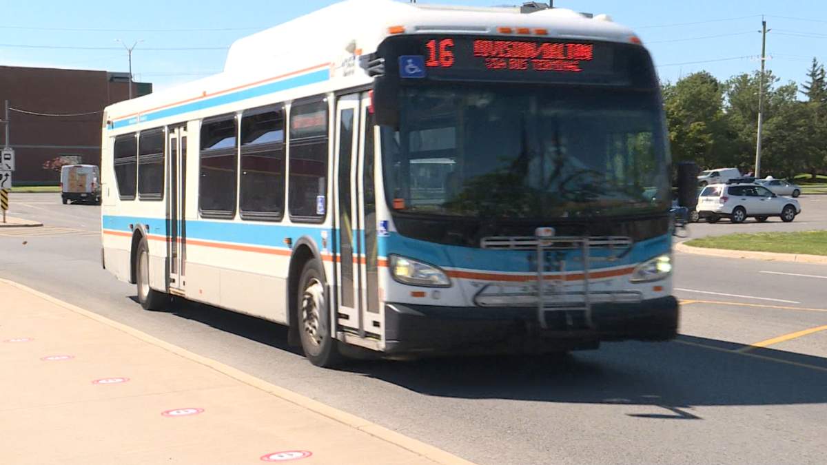 Kingston Transit is operating at only 25 per cent capacity, while revenues have fallen drastically during the pandemic.
