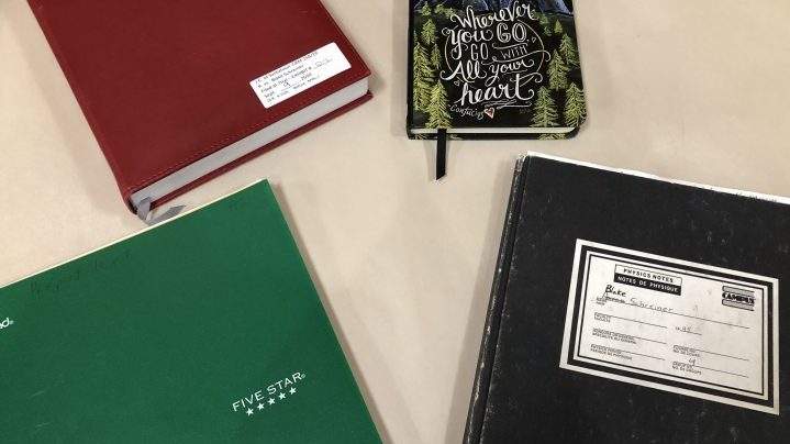 Blake Schreiner journals have conflicting accounts of drug use and Tammy Brown death