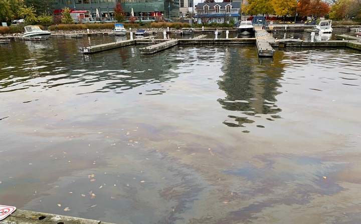 Resident Andy MacDonald posted photos of the oil-like substance Thursday evening.
