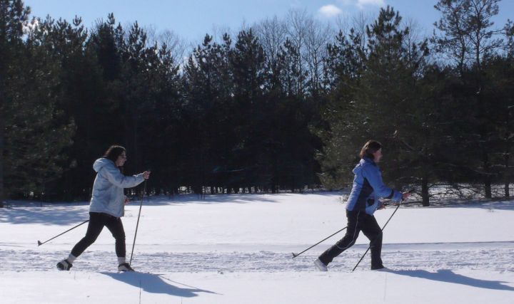 A file photo of cross-country skiers.