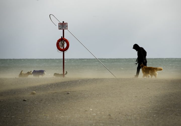 A dog walker fights the wind along with blowing sandy conditions on Woodbine Beach in Toronto in this Feb. 25, 2019, file photo.