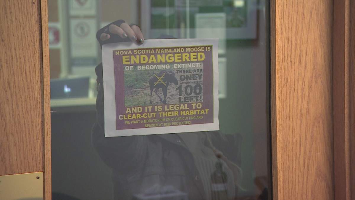 A protestor calling for protection of moose habitat in Nova Scotia holds a poster at the N.S. Lands and Forestry Department office in Halifax, Nov. 24.