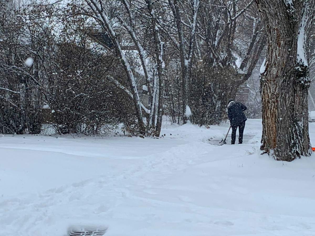 A shot of the snow on Saturday, Nov. 7, 2020, in the Garneau neighbourhood.