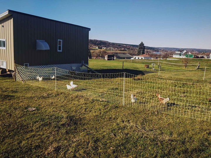 A side view of Justin’s new chicken coop with a view of the outdoor enclosure. Courtesy Make-a-Wish Canada