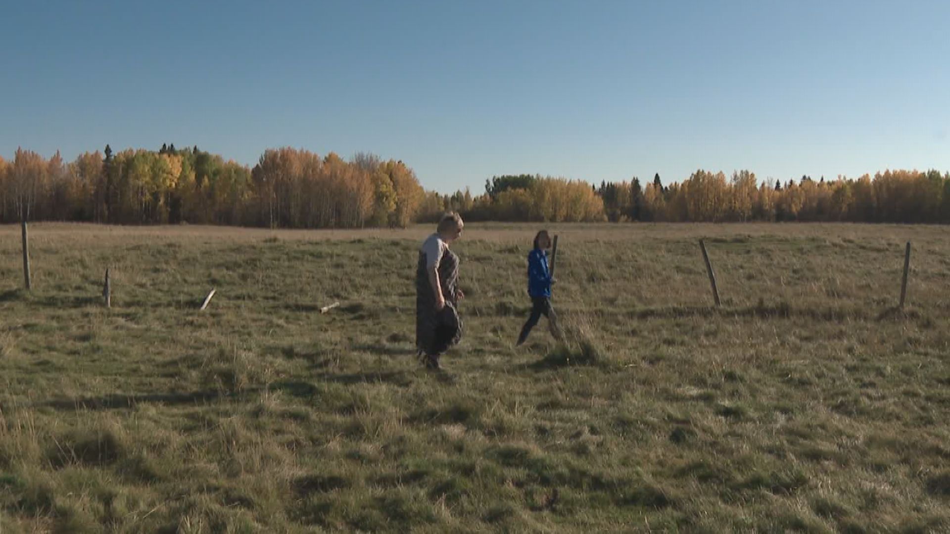 Verna Phippen walks with reporter Julia Wong on her property in Westerose.