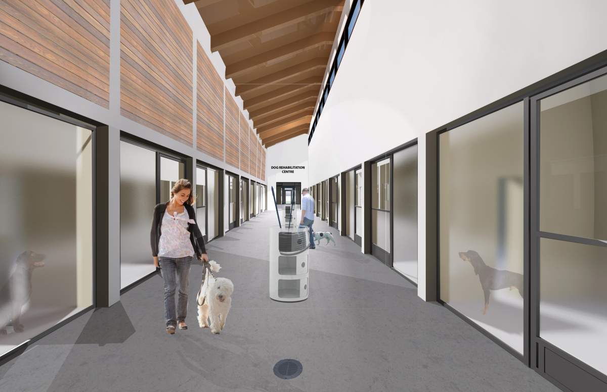 Havelock Metal donating, installing roof for new Peterborough animal care centre - image