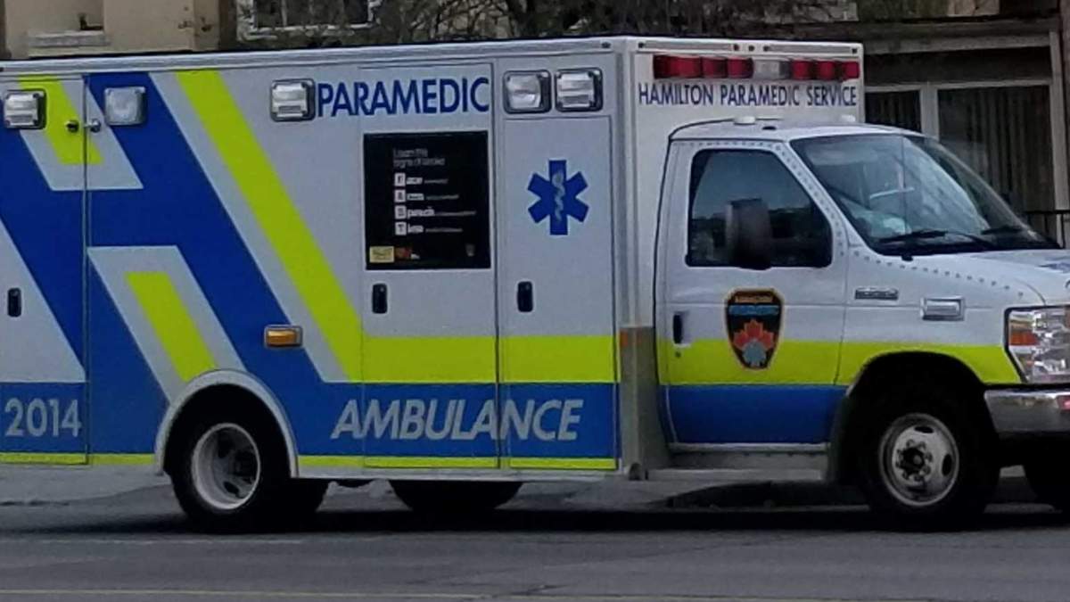 Paramedics on trial likely influenced by ‘cognitive bias’ in Al-Hasnawi shooting, says expert - image