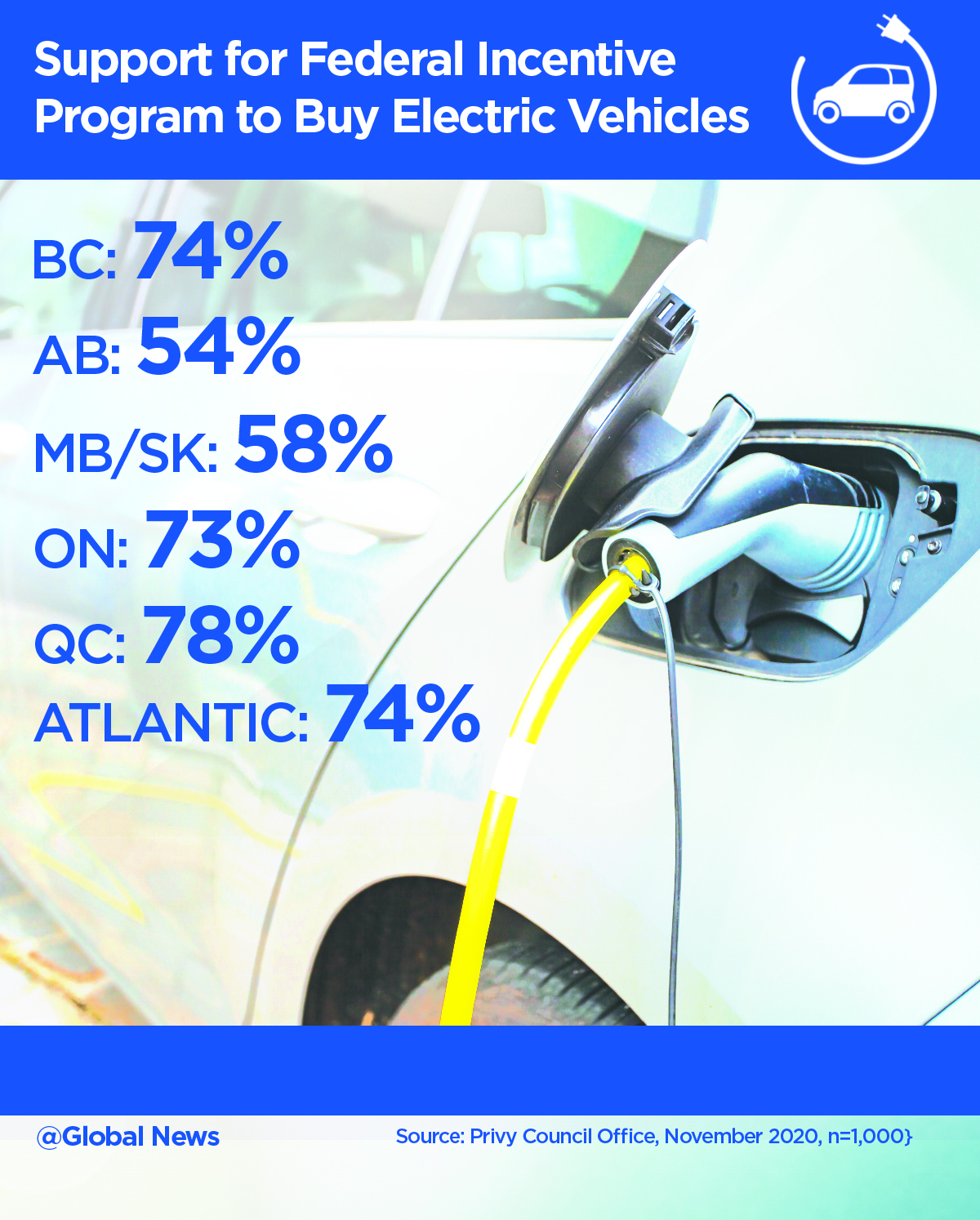 Internal government poll shows strong support for electric vehicle subsidy - image