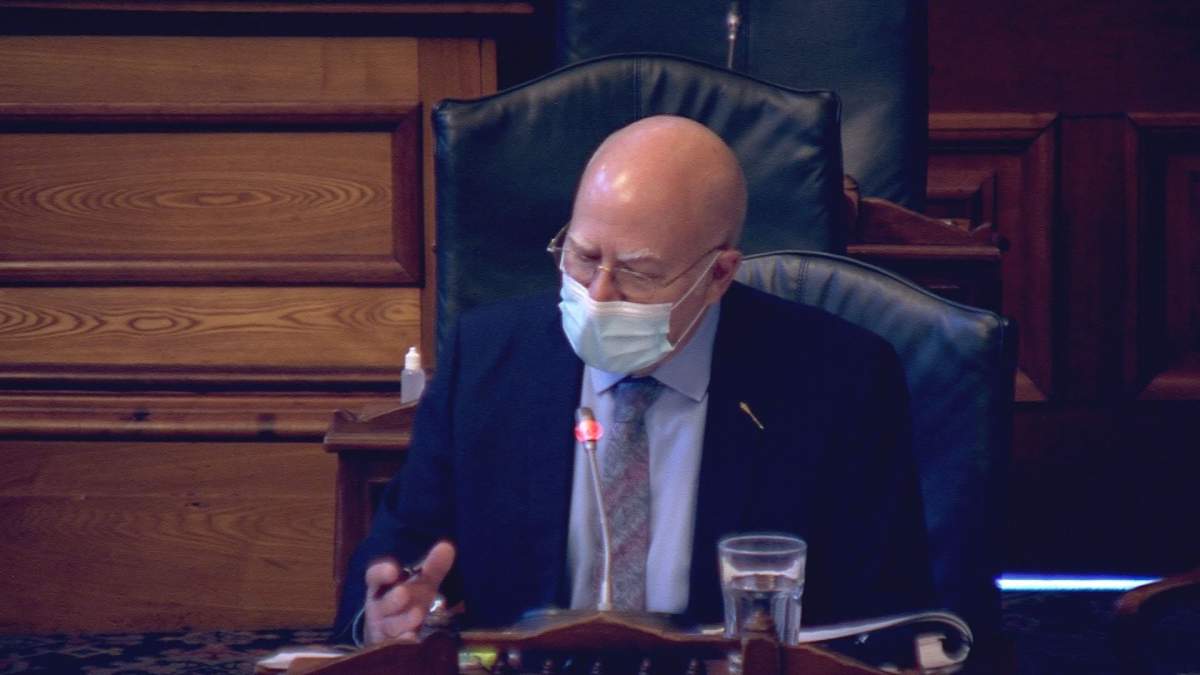 N.B. Green leader pans pace of action on protections for at-risk youth - image