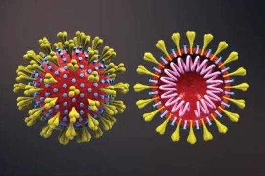 As the COVID-19 pandemic continues, focus has shifted to the Variants of Concern. Two epidemiologists explain how the virus changes and what new strains could look like.