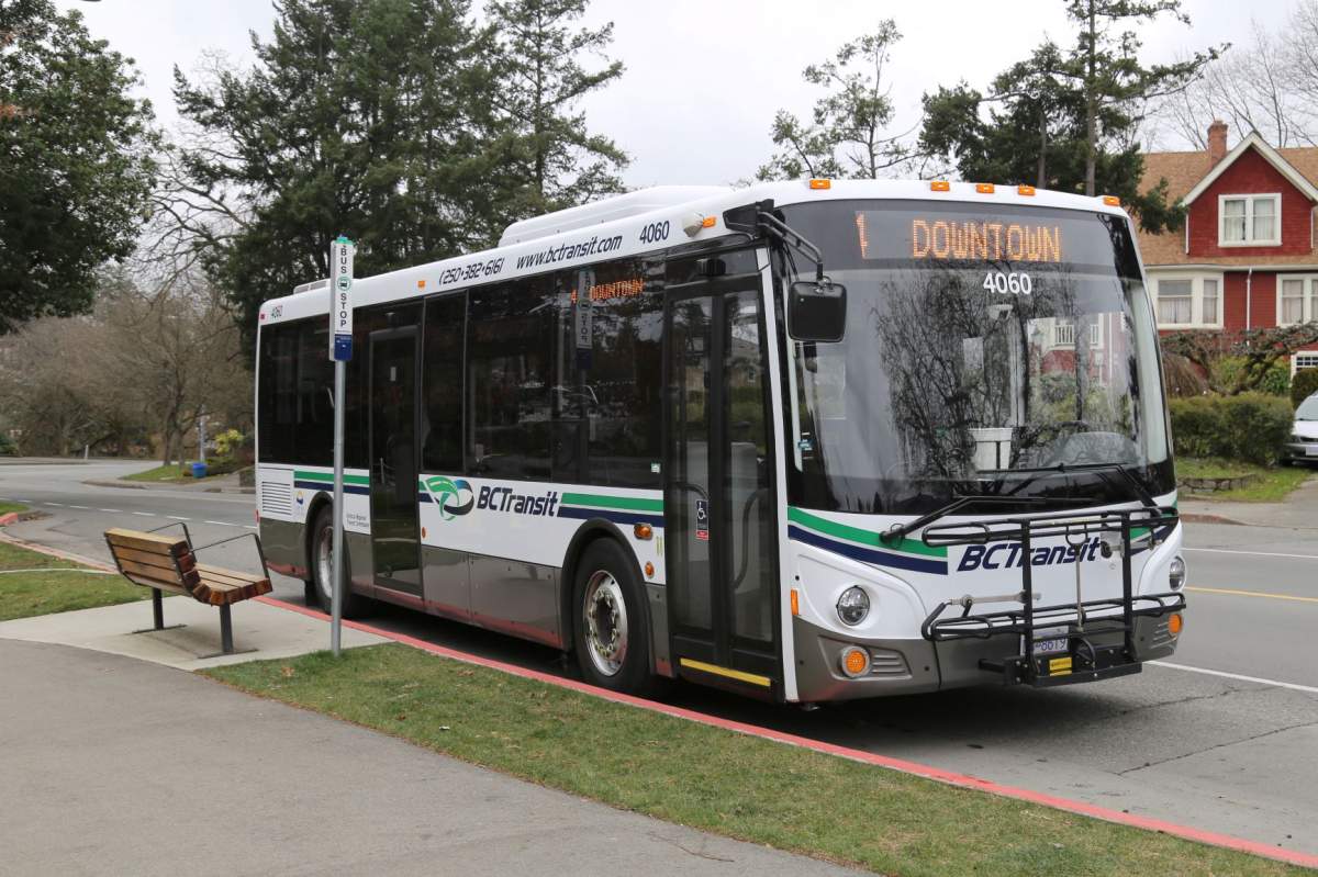 Transit bus