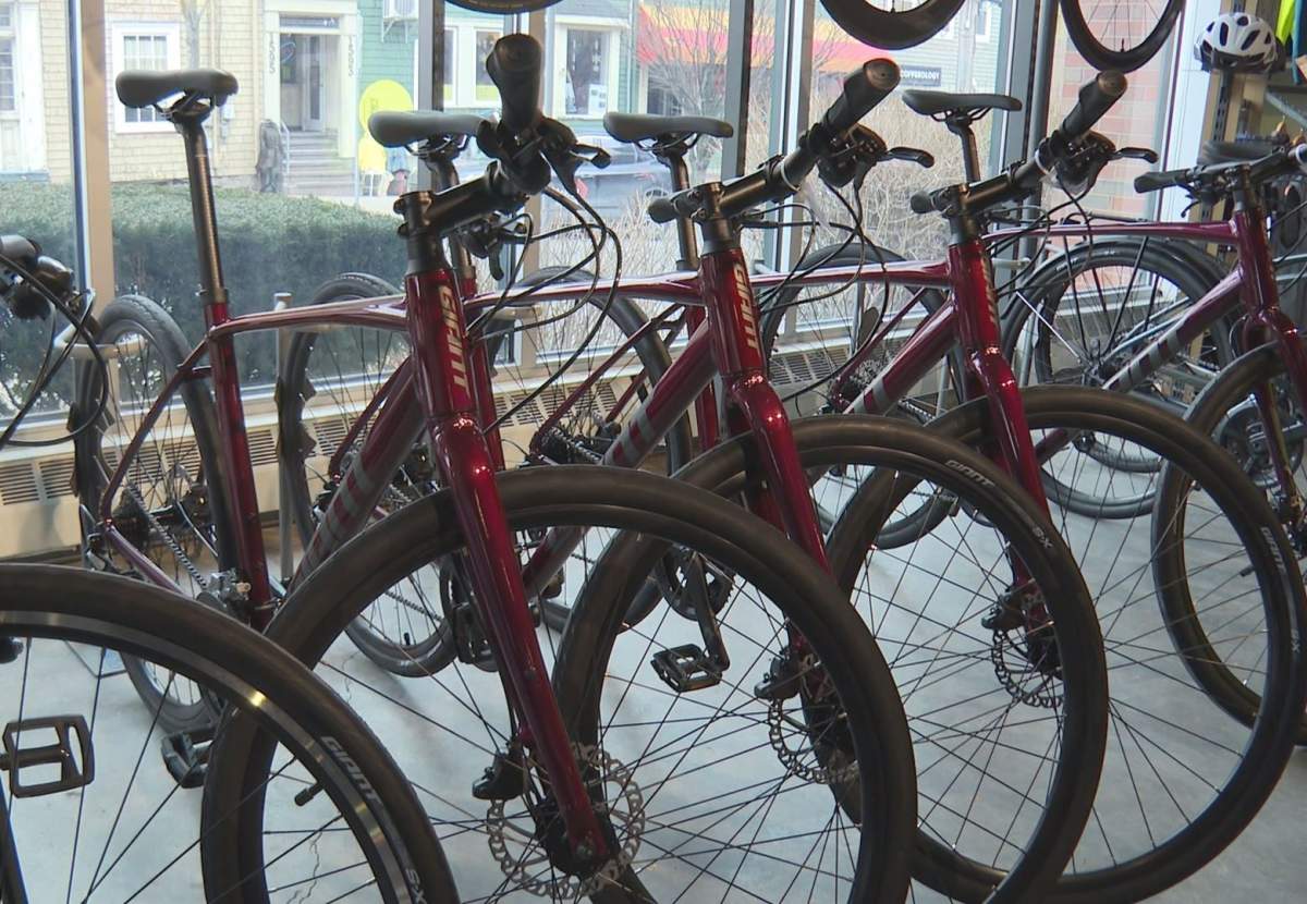 Giant bike