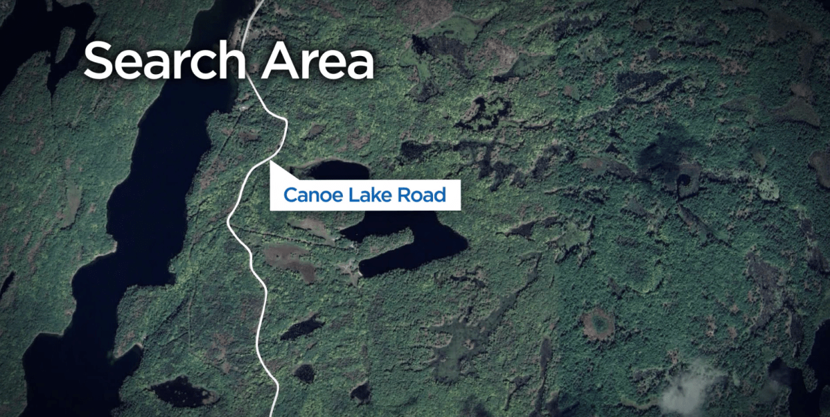 Search for missing 3-year-old in South Frontenac enters its 3rd day - image