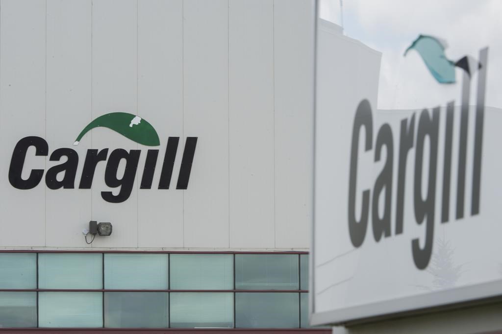New canola crusher slated for Regina’s Global Transportation Hub - image