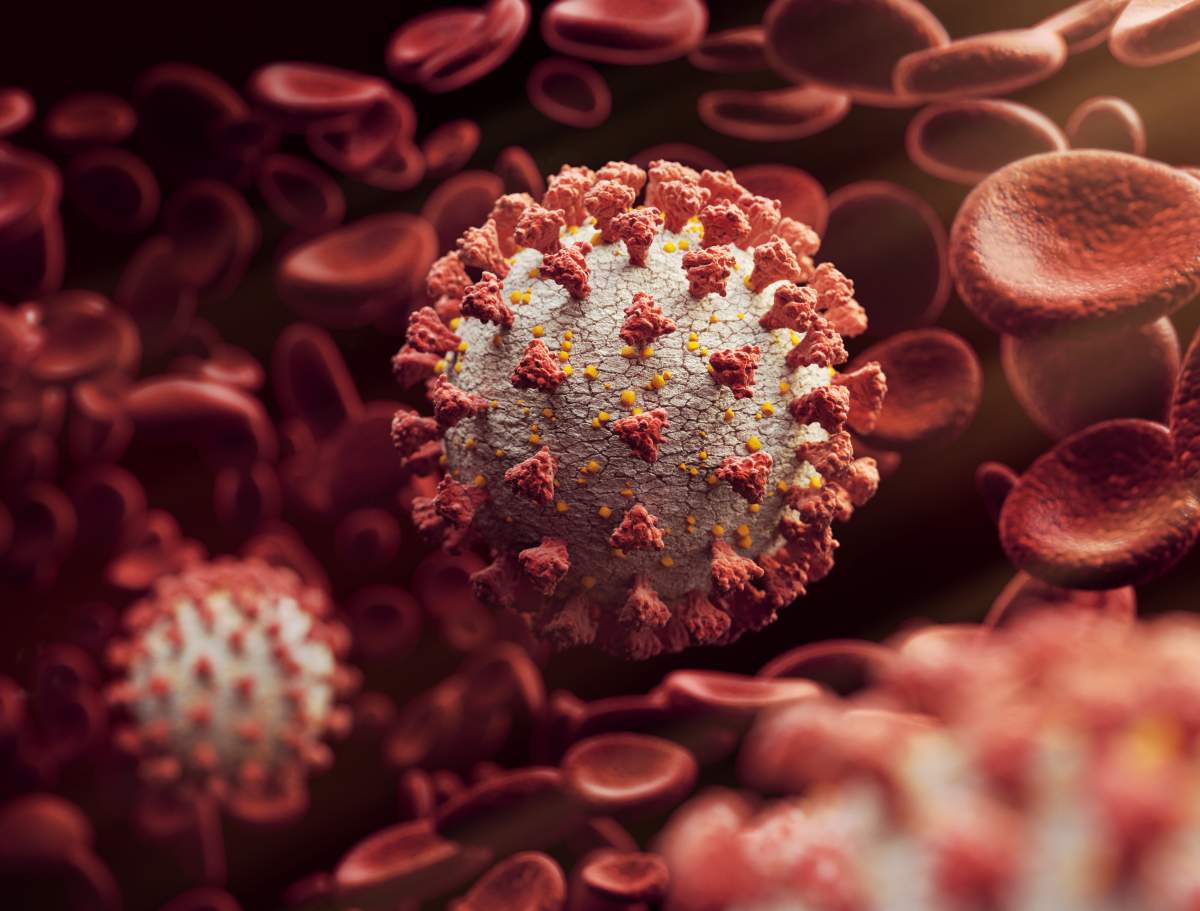 Coronavirus around blood cells.